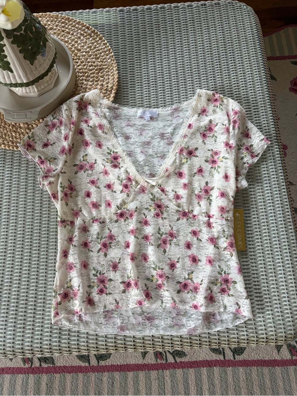 Floral Lace V-Neck Short Sleeve Top - Pink on Cream